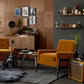 Accent Chair - 101