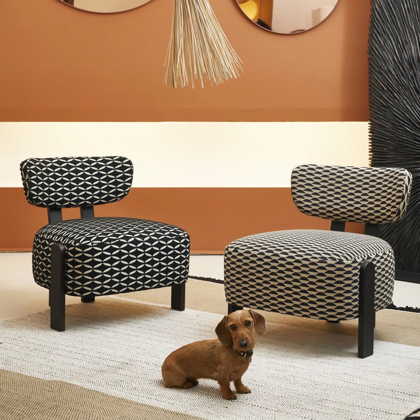 Accent Chair - 116